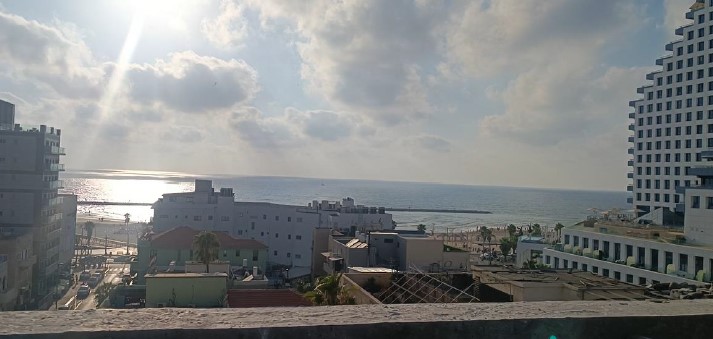 יזמי — יונה הנביא, תל אביב